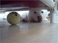 daycare pic 7 - oniko